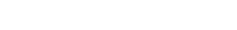 Savvy Dealer logo