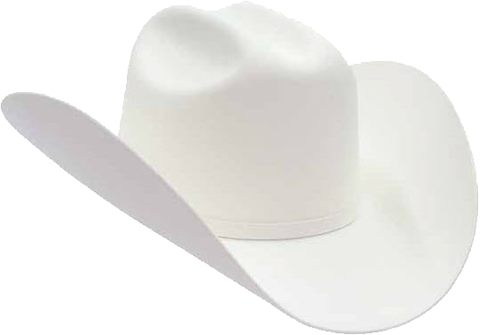 White-Hat-SEO